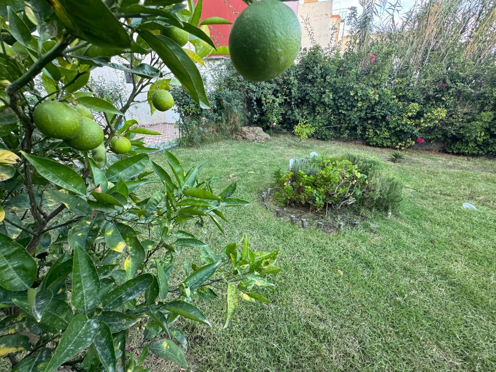 Studio Plage Kozah Tanca Dış mekan fotoğraf